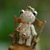 BEAR-PAVE-L-PG-DIA-02.jpg